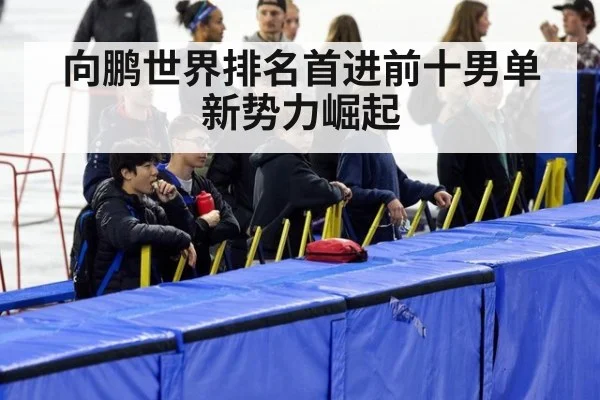向鹏世界排名首进前十男单新势力崛起