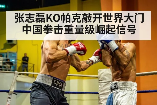 张志磊KO帕克敲开世界大门 中国拳击重量级崛起信号